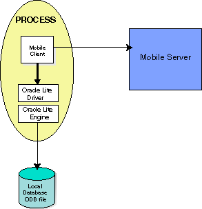 Mobile client and ODB libraries in single process Mobile client and ODB libraries in single process