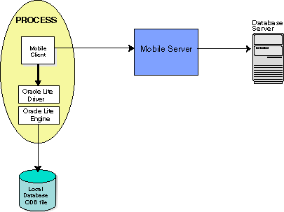 Mobile client and ODB libraries in single process Mobile client and ODB libraries in single process
