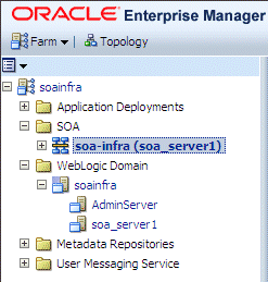 soa infra node soa infra node