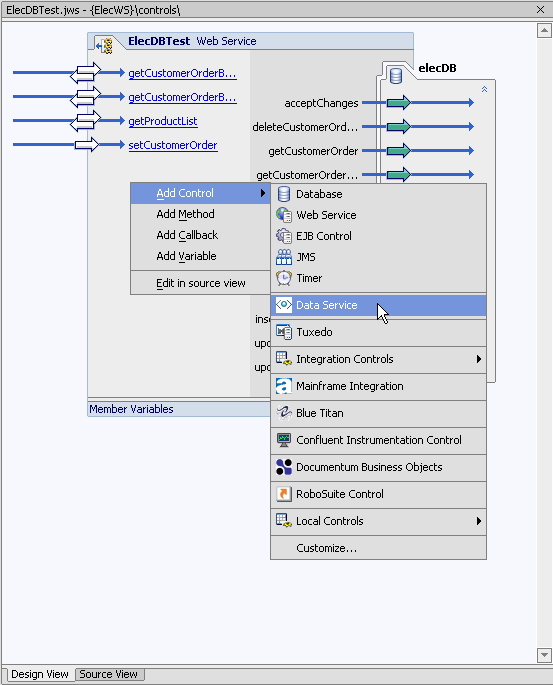 Adding a Data Service Control to a Web Service