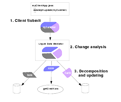 Data Services Platform Source Update Sequence 