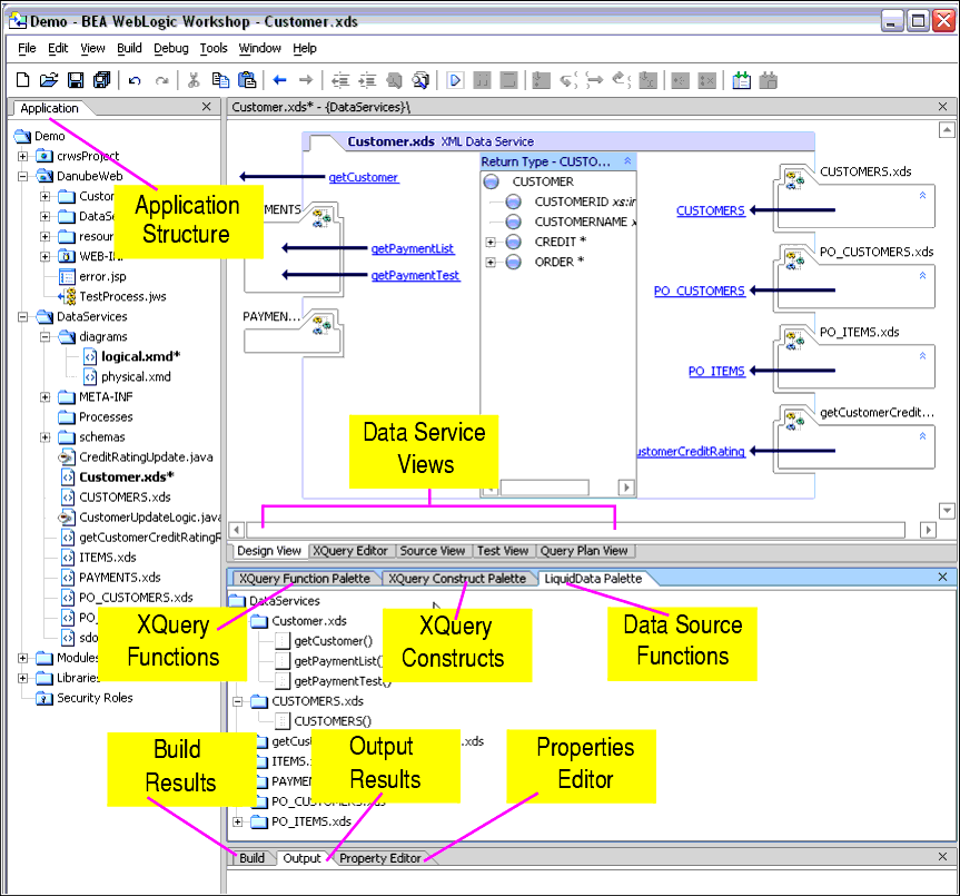 Application Pane of a New Data Services Platform Application 