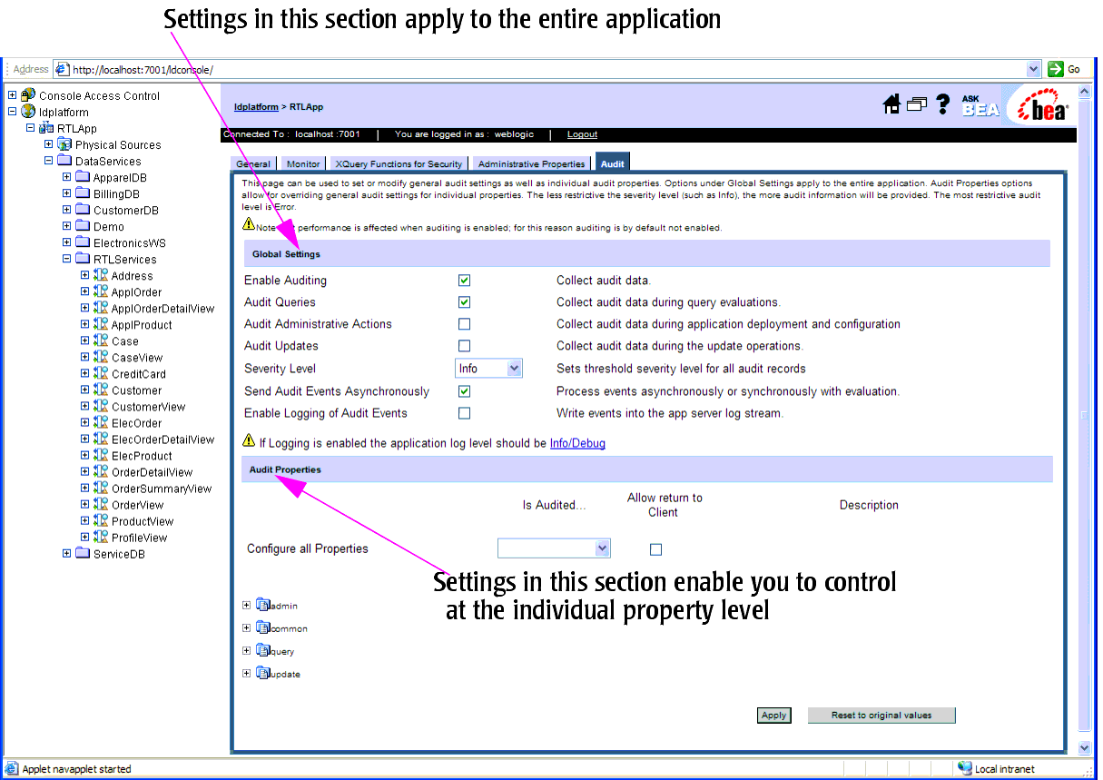 Auditing Options