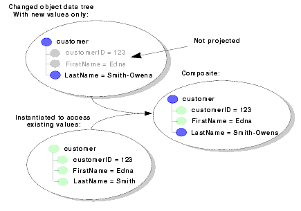 Projected Data Objects 