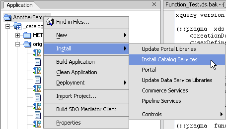 Installing Catalog Services