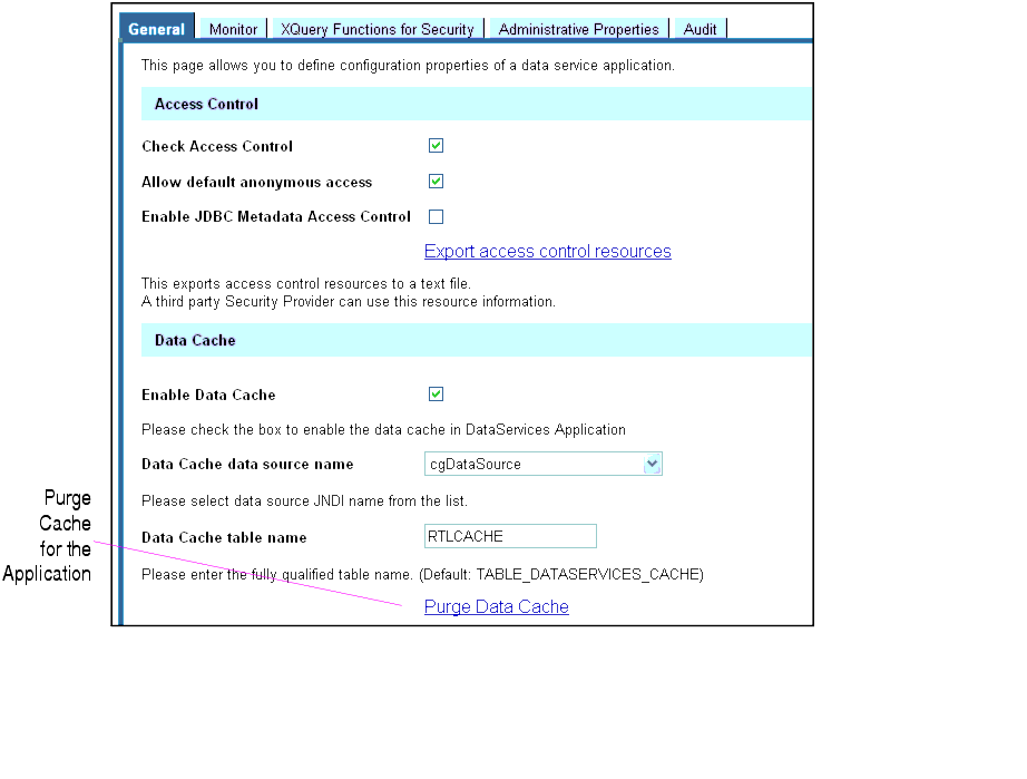 Purging the Cache for an Application