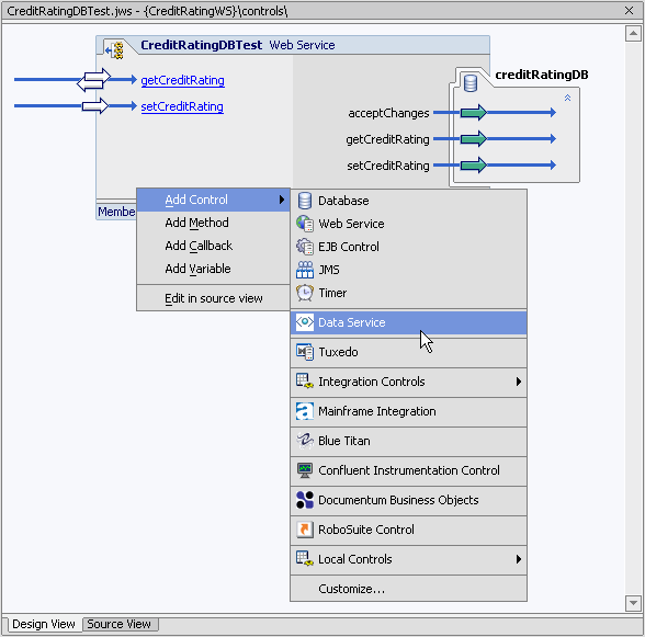 Adding a Data Service Control to a Web Service