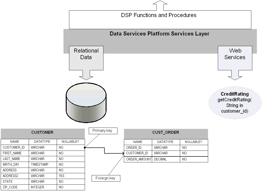 Data Services Layer Exposes Functions and Procedures to Client Application Developers
