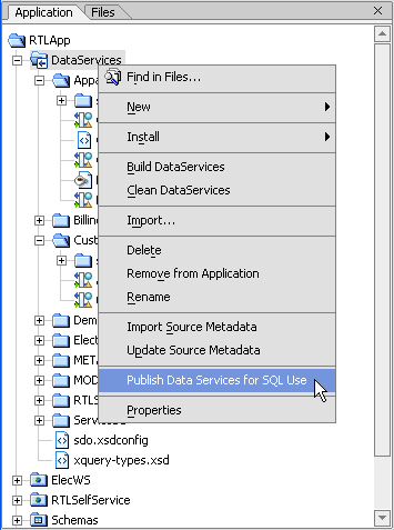 Application Tab of a New AquaLogic Data Services Platform Application