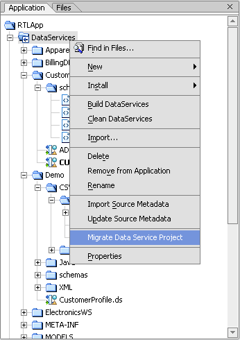 Upgrade Data Services Project Option