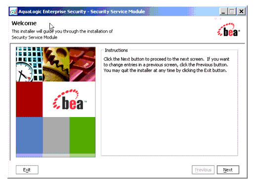 AquaLogic Enterprise Security SSM Installer Window