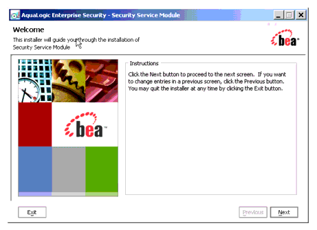 AquaLogic Enterprise Security SSM Installer Window