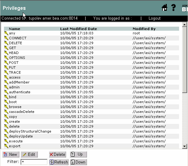 Privileges Representation in the Administration Console