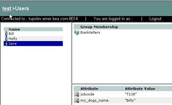 User Representation in the Administration Console
