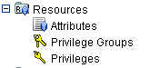 Expanded Resource Node