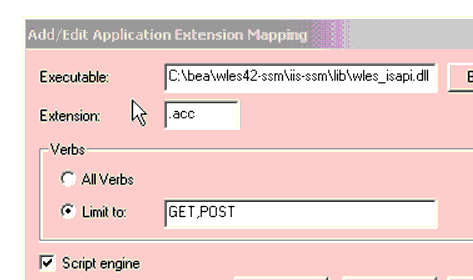 IIS Web Site Add/Edit Application Extension Mapping Dialog
