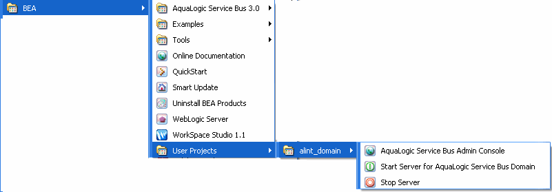 ALINT Domain Created