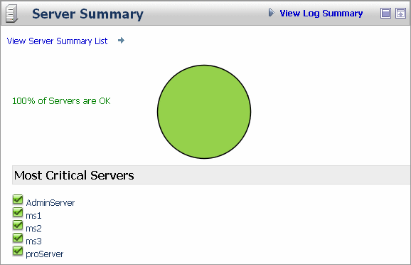 Server Summary Pane