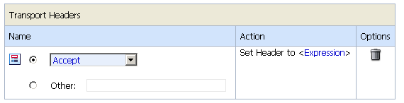 TransPort Headers Configuration Parameters