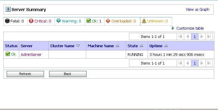 Server Summary Page