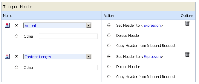 Individual Transport Header Action Configuration Options