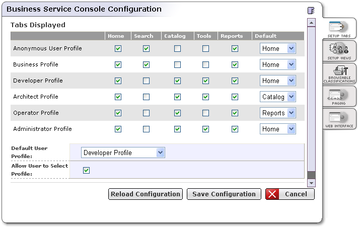 Business Service Console Configuration - Tabs Displayed