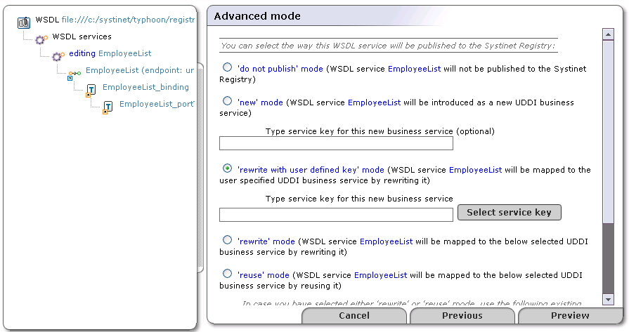 Publish WSDL (Advanced Mode)