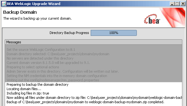 Domain Upgrade - Backup Domain