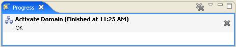 Domain Activation Wizard Successful Completion