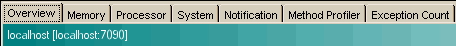 Information Tabs (Developer Mode)