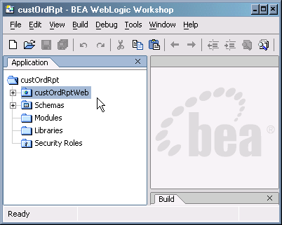 Creating a Web Project Within the New Application