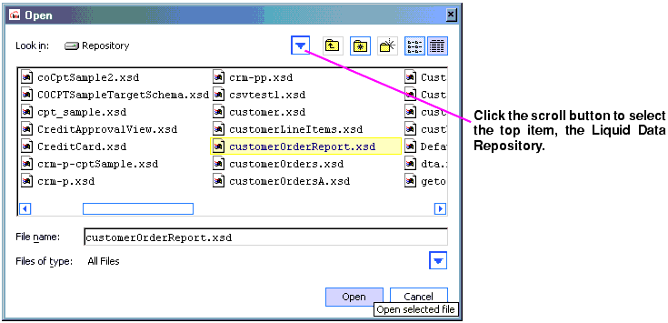 Selecting a Target Schema from the Liquid Data Repository