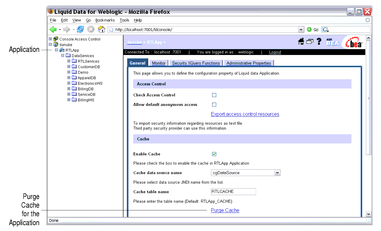 Purging the Cache for an Application