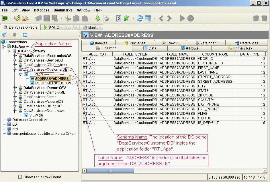 DbVisualizer View of Liquid Data