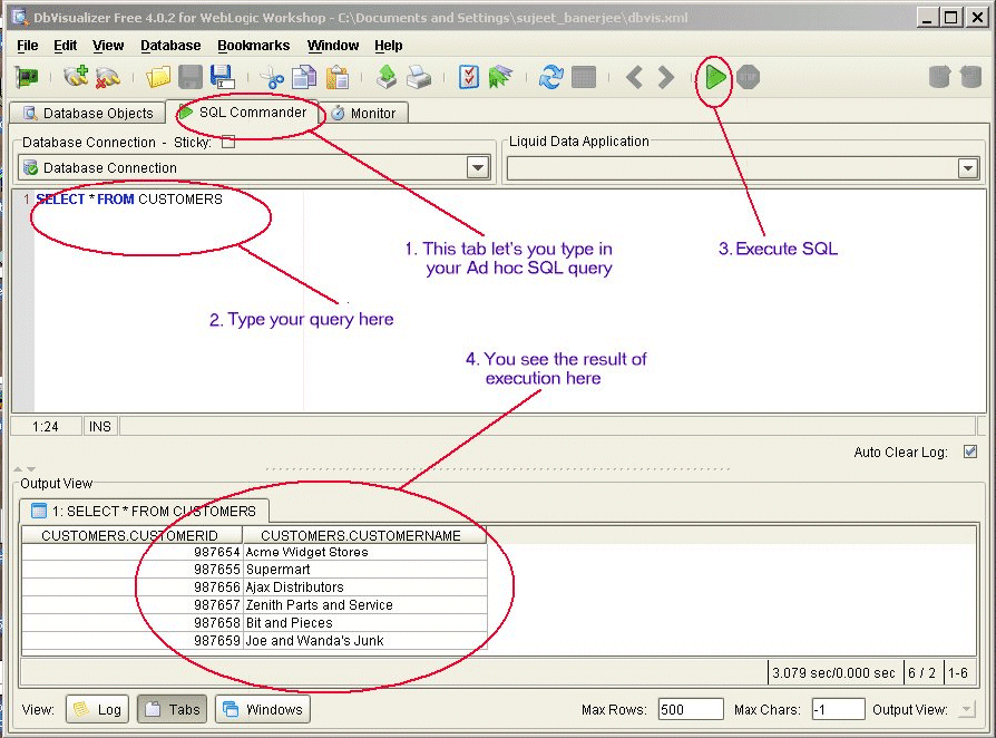 DbVisualizer View of Liquid Data