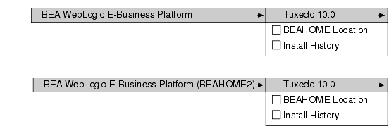 Tracking Multiple BEA Home Directories on the Same Windows System