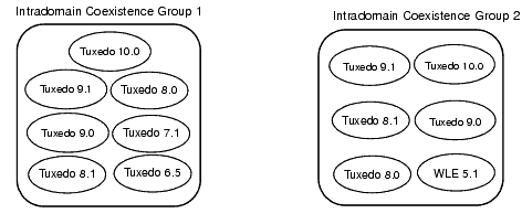 Intradomain Groups
