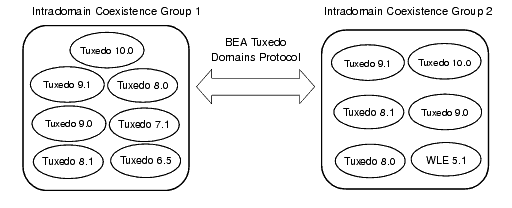 Interdomain Scenario 1