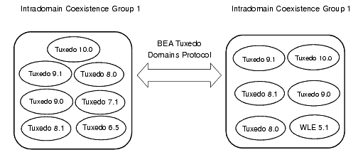 Interdomain Scenario 2