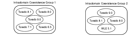 Intradomain Groups