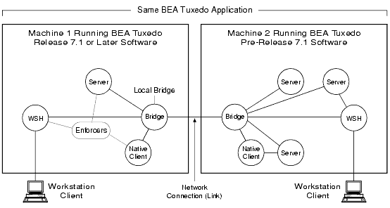Enforcing Intra-Domain Interoperability Rules for Public Key Security