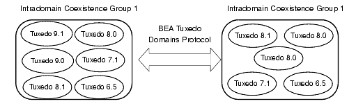 Interdomain Scenario 2