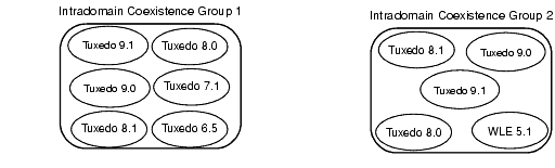 Intradomain Groups
