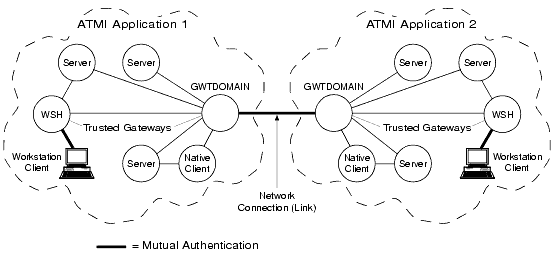 Mutual Authentication in the Delegated Trust Authentication Model