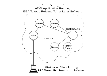 WSH Operating with Older Workstation Client