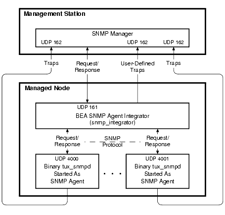 Multiple SNMP Agents Running on a Managed Node—Example