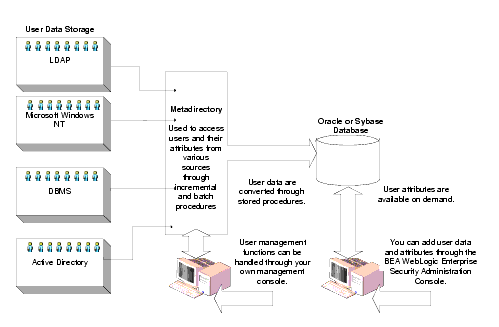 Metadirectory Architecture