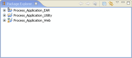 Package Explorer 
