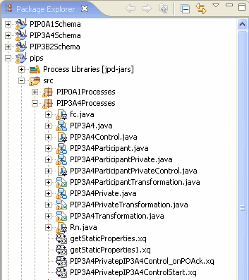 PIP3B2Participant Business Process
