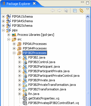 PIP3B2 Processes